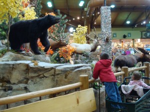 bear 003 Bear at Cabela's
